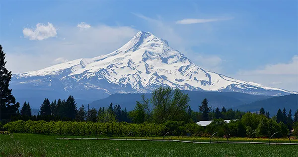Flexible Financing - Portland Dentist